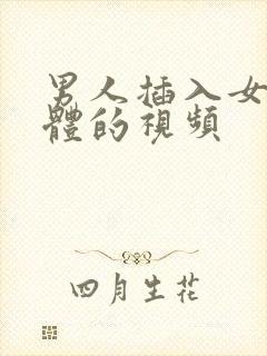 男人插入女人下体的视频