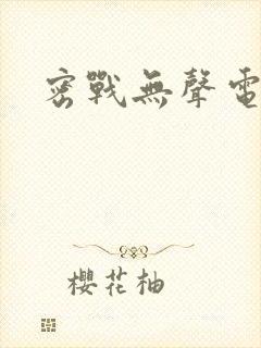 密战无声电视剧