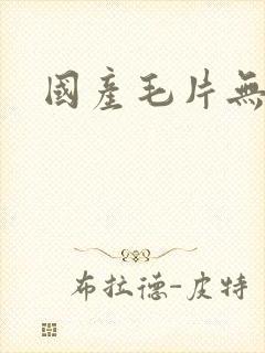 国产毛片无遮挡