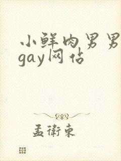 小鲜肉男男同性gay网站