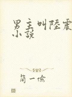 男主叫陆震霆的小说