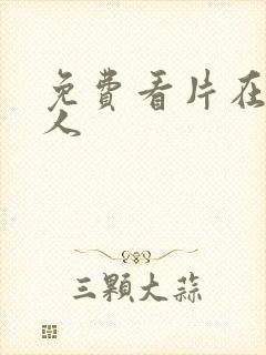 免费看片在线成人