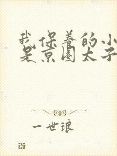 我保养的小白脸是京圈太子爷封面
