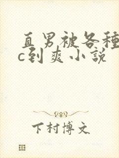 直男被各种姿势c到爽小说