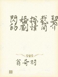 闪婚总裁契约妻的剧情简介是什么?