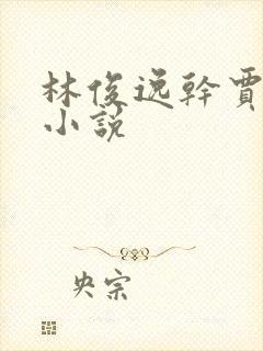 林俊逸干贾静雯小说