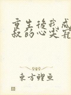 重生后我成了皇叔的心尖宠