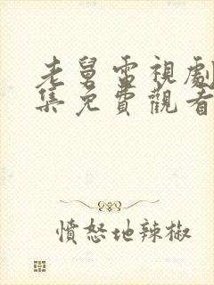 老舅电视剧21集免费观看