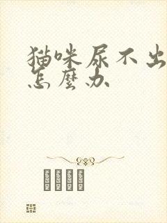 猫咪尿不出来尿怎么办