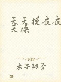 天天摸夜夜干天天操