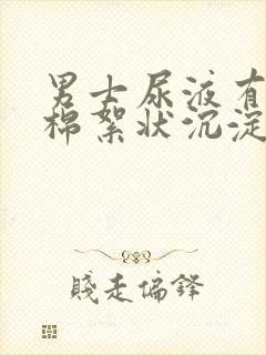 男士尿液有白色棉絮状沉淀物