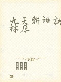 九天斩神诀小说林辰
