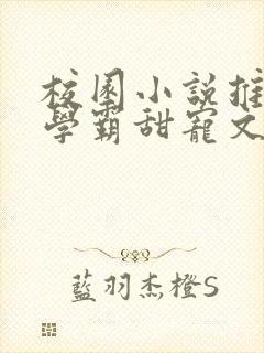 校园小说推荐双学霸甜宠文