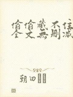 偷偷藏不住小说全文无删减