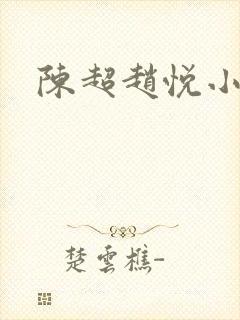 陈超赵悦小说