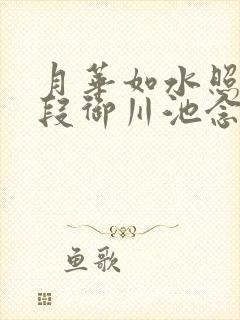 月华如水照花影段御川池念全文阅读