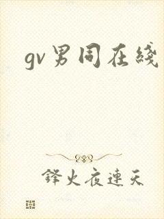 gv男同在线封面
