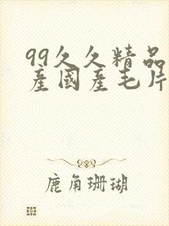 99久久精品国产国产毛片