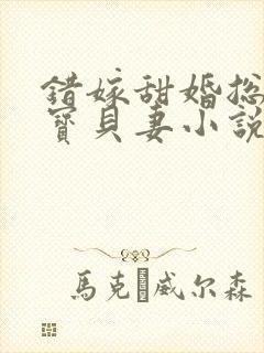 错嫁甜婚总裁的宝贝妻小说完整版