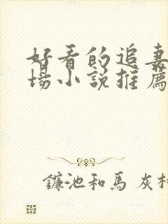 好看的追妻火葬场小说推荐