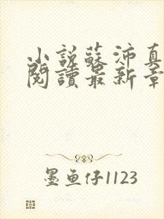 小说苏沛真全文阅读最新章节更新时间封面