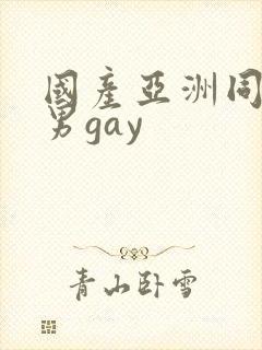 国产亚洲同性男男gay