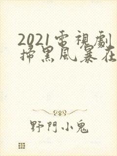 2021电视剧扫黑风暴在线观看25集
