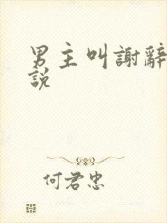 男主叫谢辞的小说