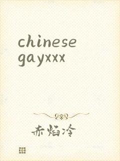 chinesegayxxx封面