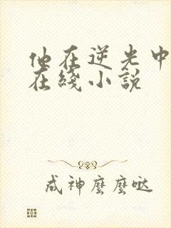 他在逆光中告白在线小说