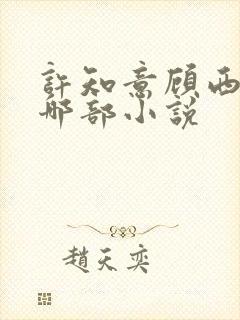 许知意顾西洲是哪部小说