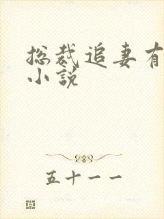 总裁追妻有点忙小说封面