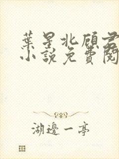 叶星北顾君逐的小说免费阅读封面