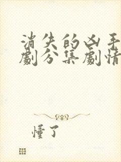 消失的凶手电视剧分集剧情介绍