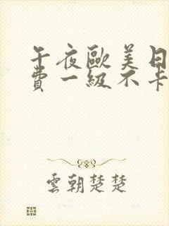 午夜欧美日韩免费一级不卡一区二区三区片