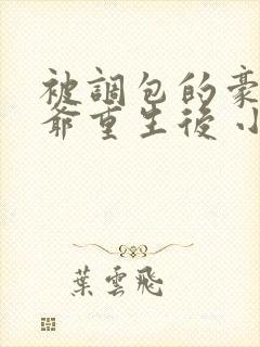 被调包的豪门少爷重生后 小说