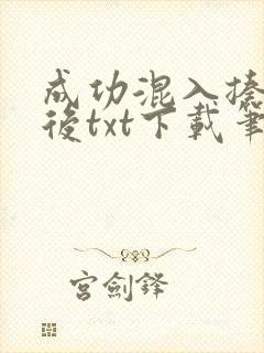 成功混入揍敌客后txt下载笔趣阁