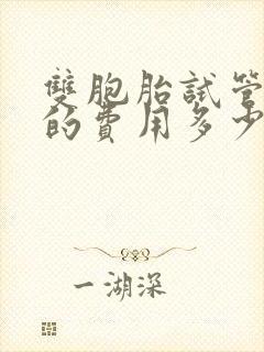 双胞胎试管婴儿的费用多少