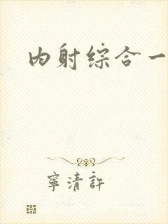 内射综合一区