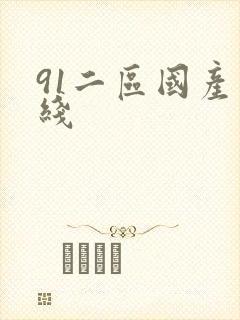 91二区国产在线