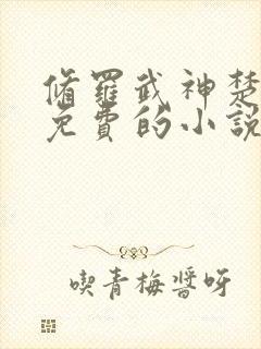 修罗武神楚枫全免费的小说封面