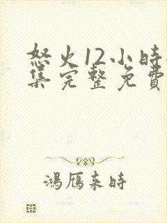 怒火12小时全集完整免费观看高清封面