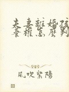 夫妻离婚孩子抚养权怎么判定