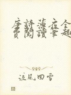 唐诗薄夜全文免费阅读笔趣阁