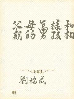 父母怎样和叛逆期的男孩相处