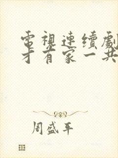 电视连续剧有你才有家一共多少集