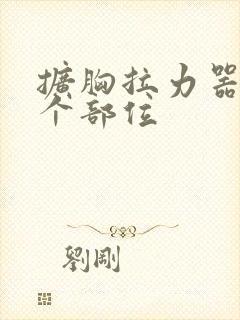 扩胸拉力器练哪个部位