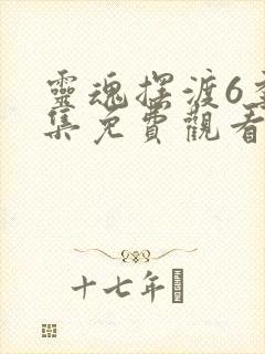 灵魂摆渡6季全集免费观看完整版