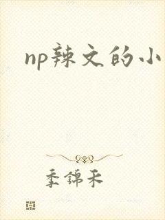 np辣文的小说