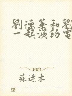 刘德华和刘嘉玲一起演的电影